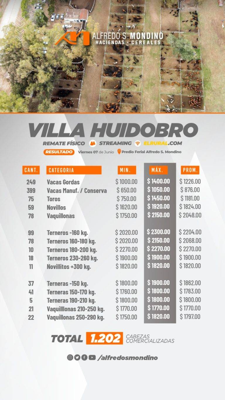 Resultados Remate Villa Huidobro- 07 de junio