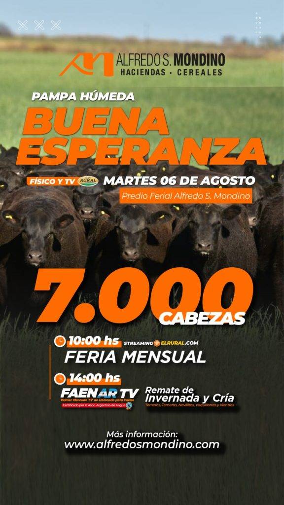 Remate Televisado Buena Esperanza