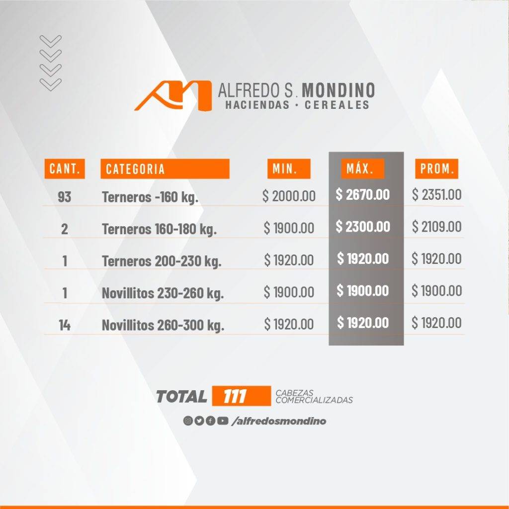 Resultado Machos Villa Huidobro