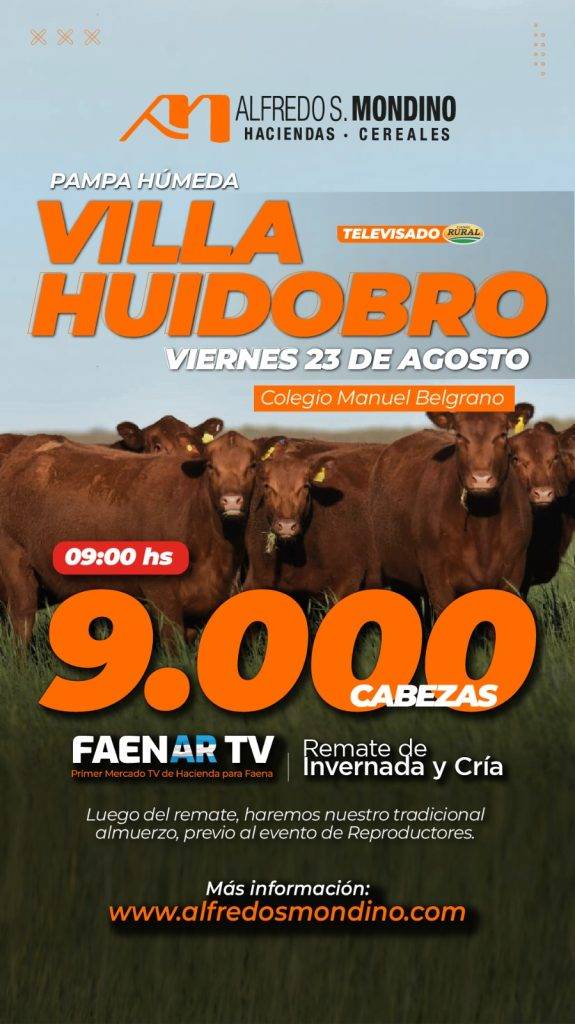 Remate Villa Huidobro