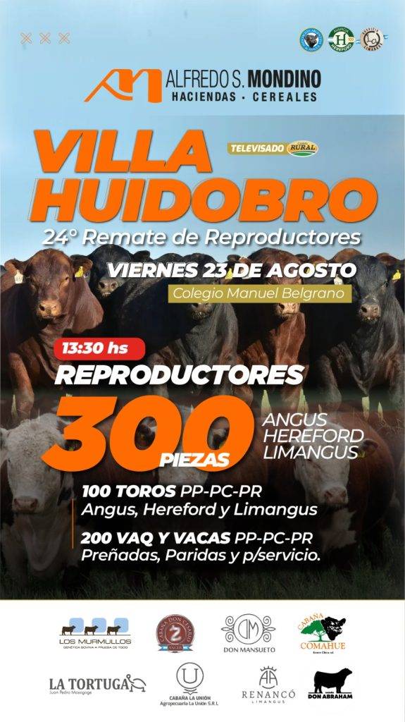 Reproductores- Remate Villa Huidobro