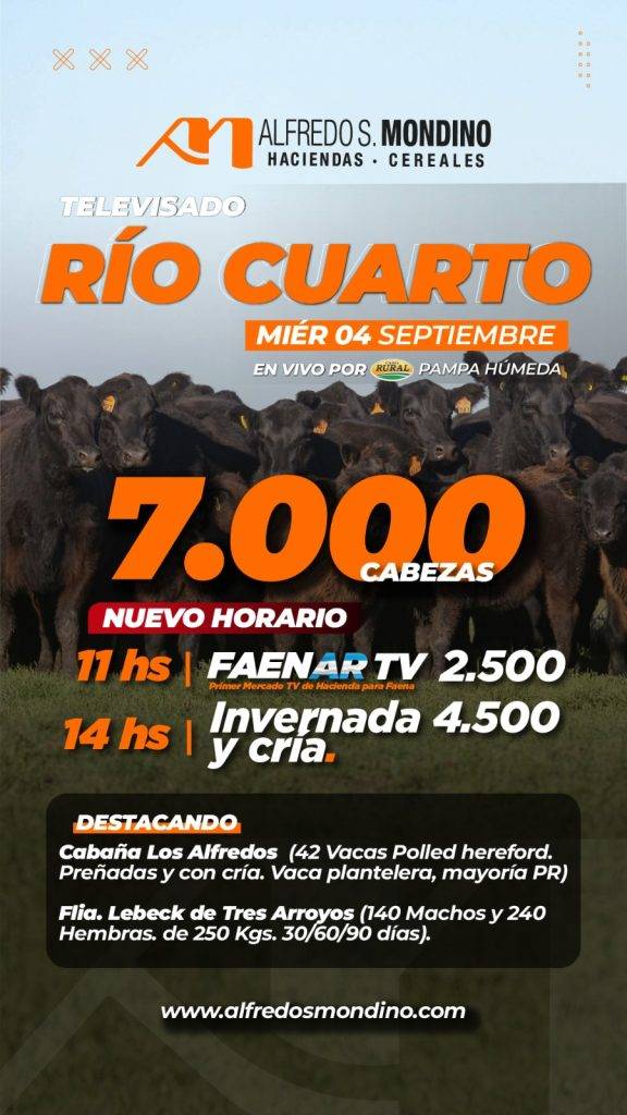 Remate Televisado