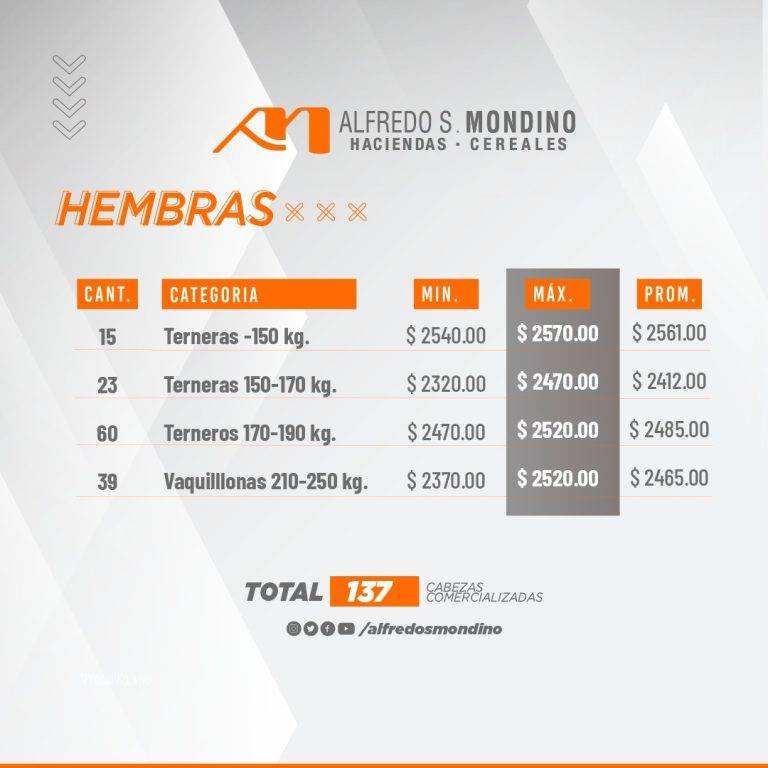 Resultados Hembras 28 de agosto