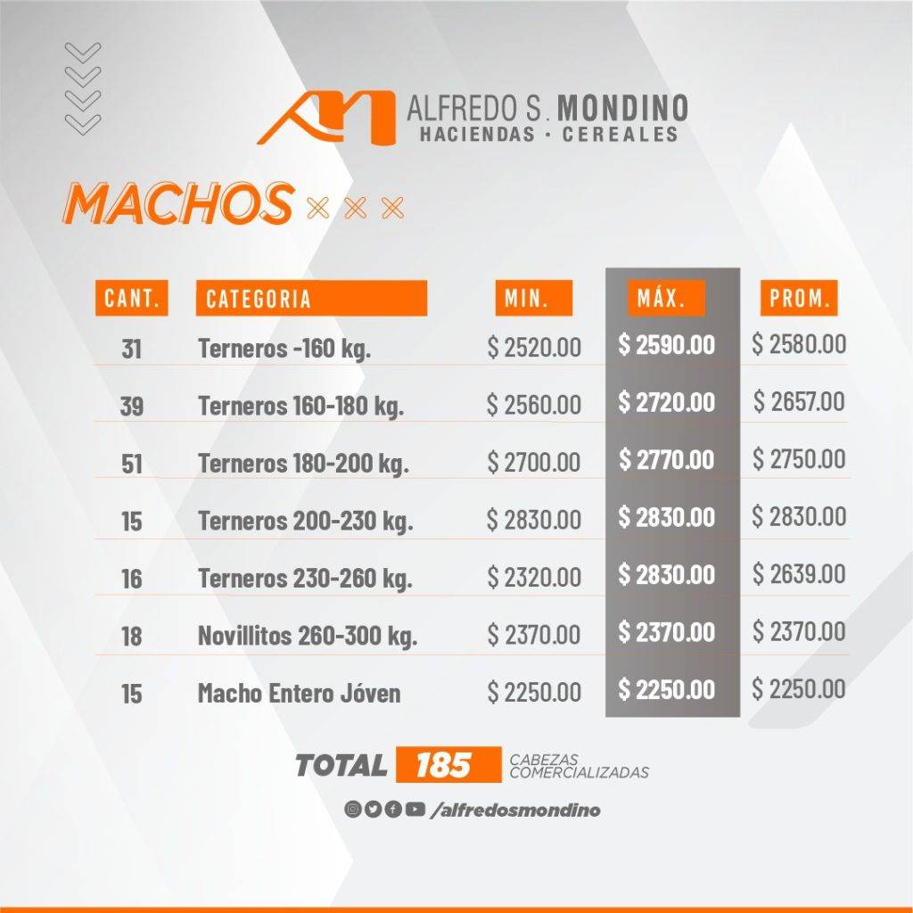 Resultado Machos 28 de agosto