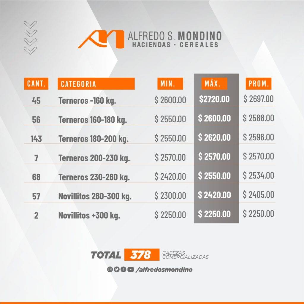 Resultado Machos 31 de julio