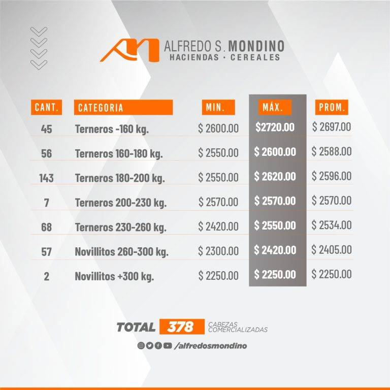 Resultado Machos 31 de julio
