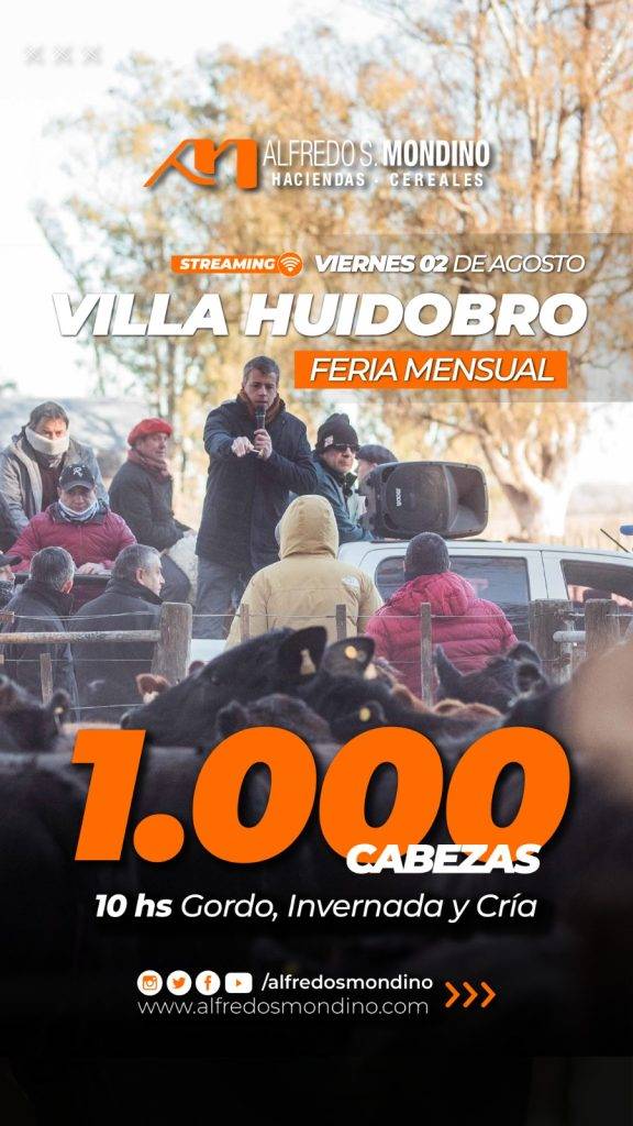 Feria Villa Huidobro