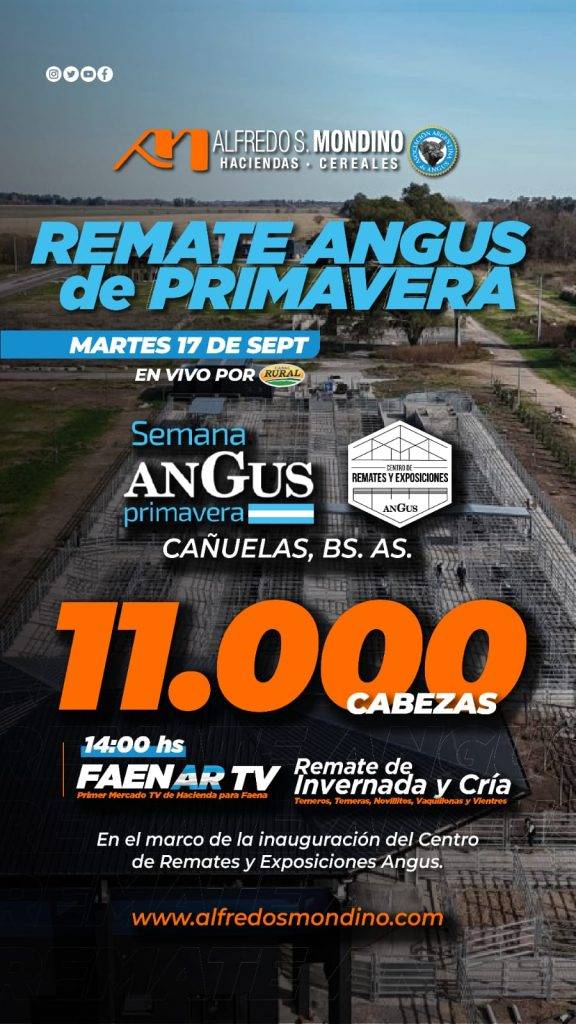 Remate Angus de Primavera