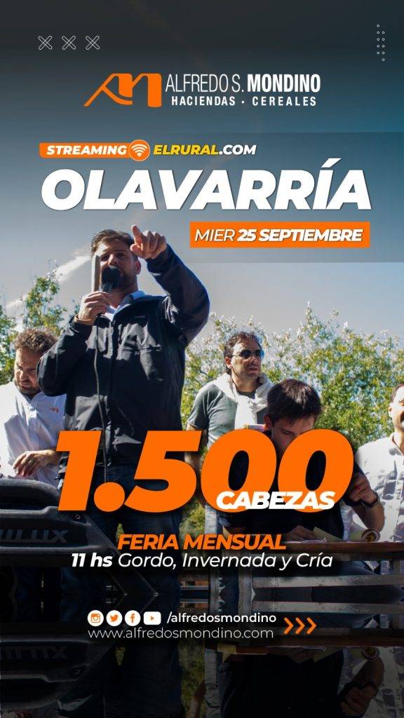 Remate Olavarría