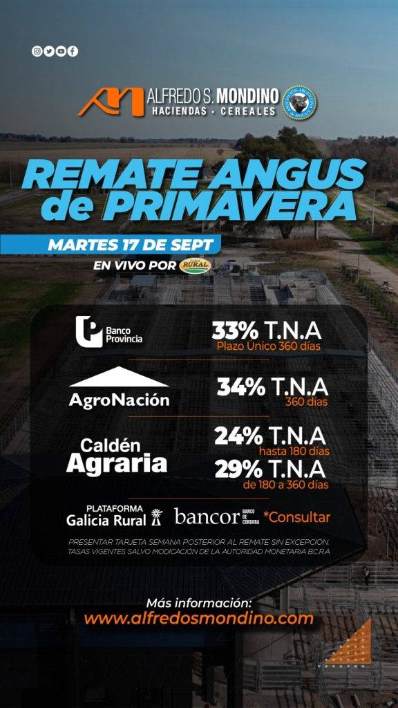 Remate Angus de Primavera