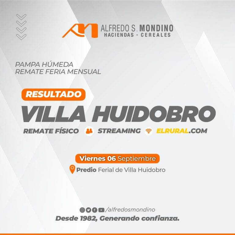Resultado Villa Huidobro