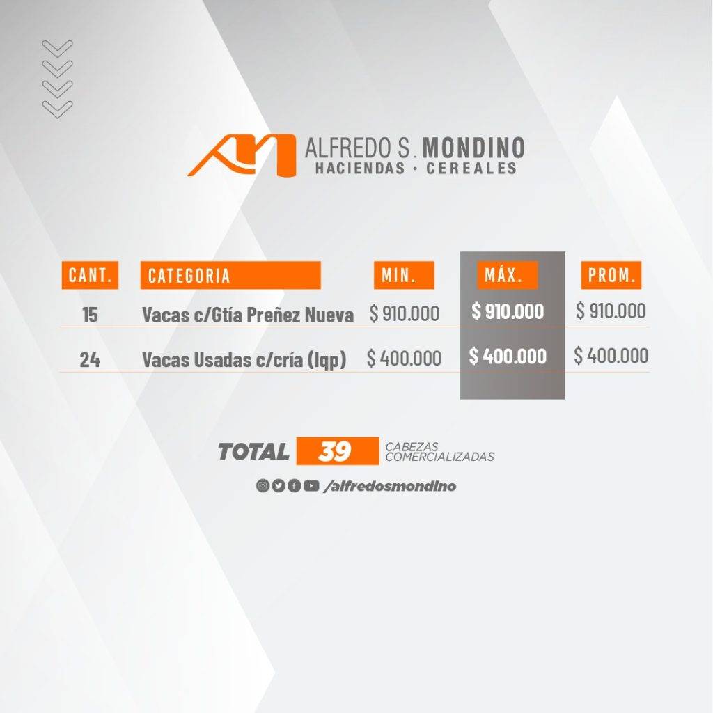 Resultado Vacas con cría Villa Huidobro