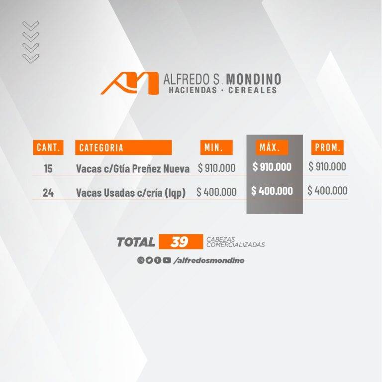 Resultado Vacas con cría Villa Huidobro