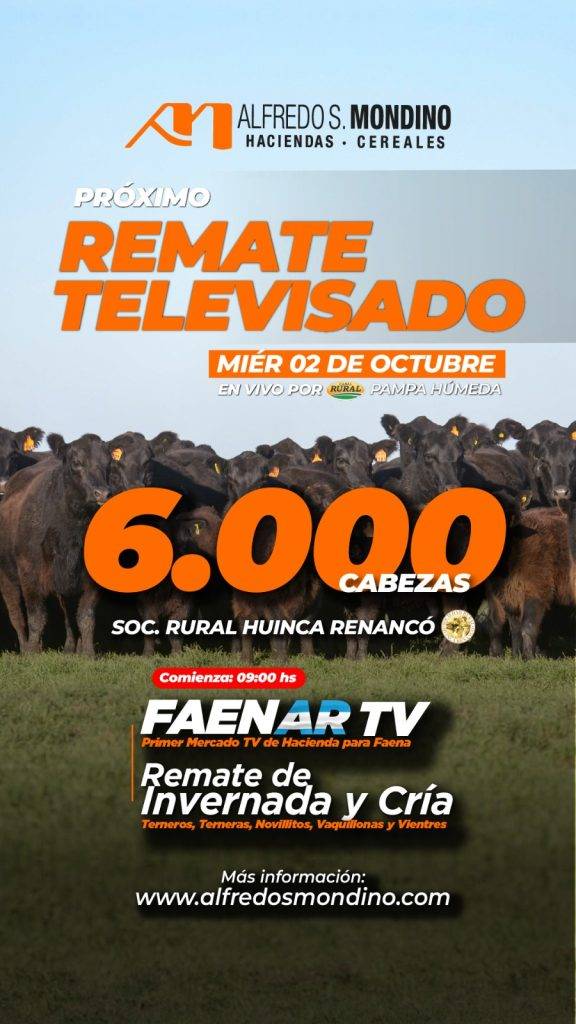 Remate Televisado Huinca Renancó