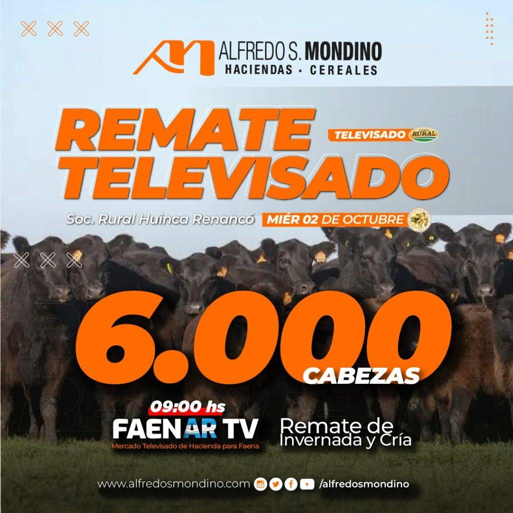 Remate Televisado Huinca Renancó