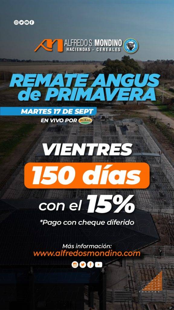 Remate Angus de Primavera