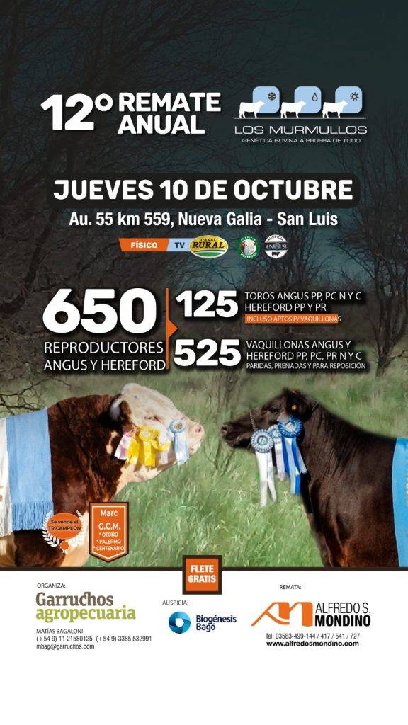 Remate Anual Los Murmullos