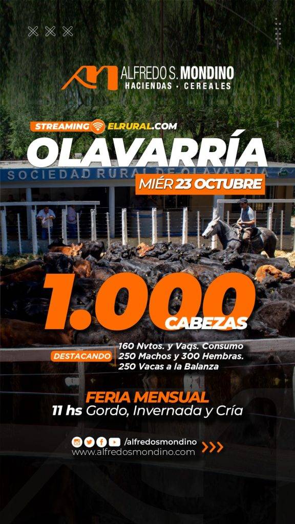 Remate Olavarría