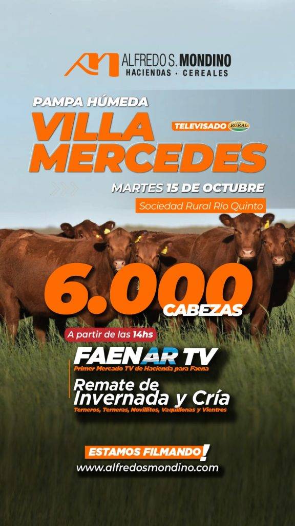 Remate Villa Mercedes