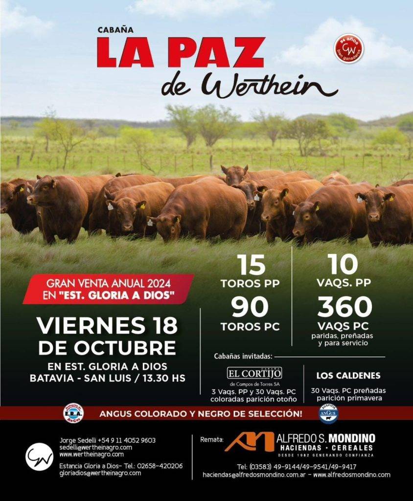 Cabaña La Paz de Werthein