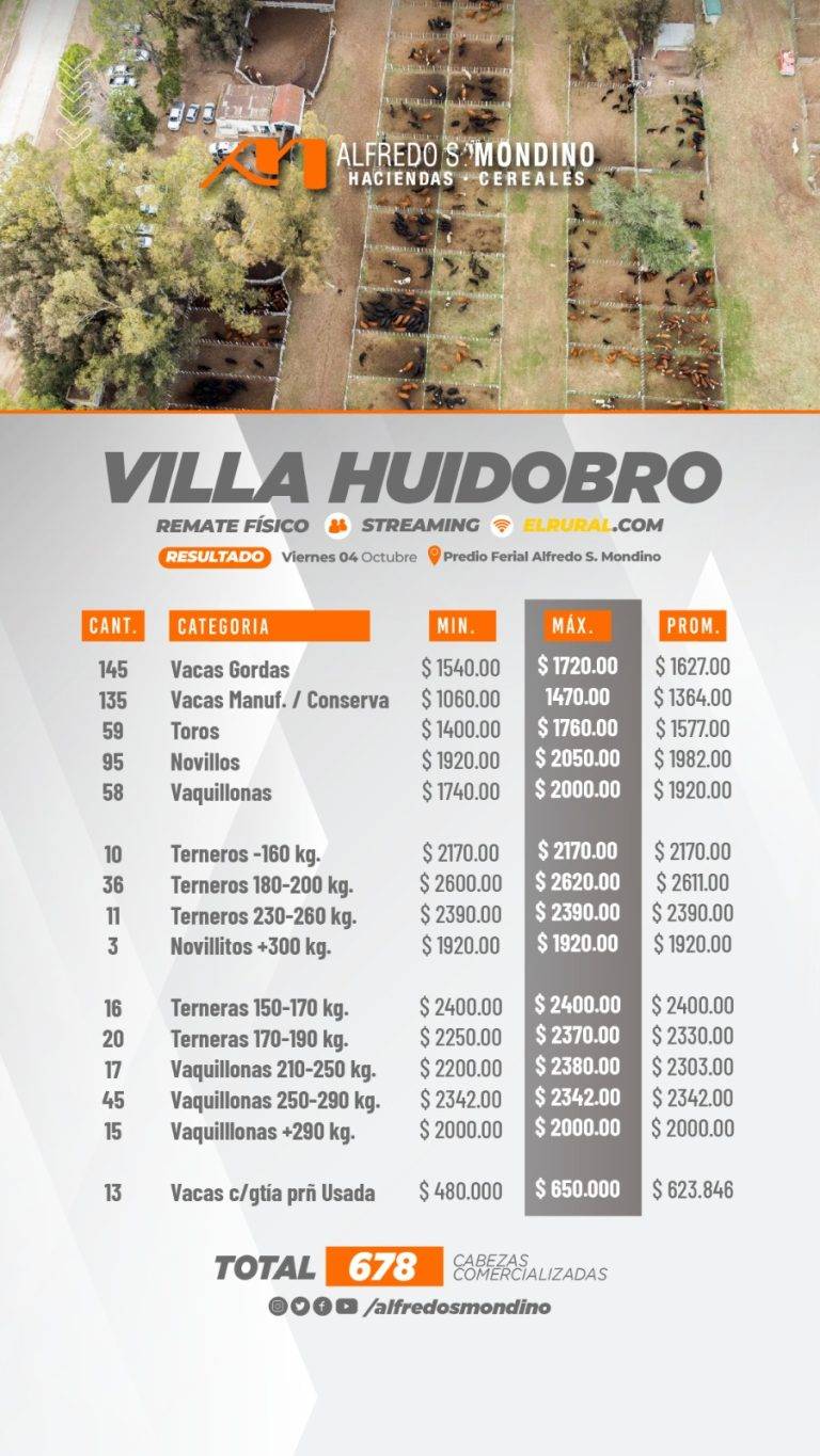 Resultados Remate Villa Huidobro