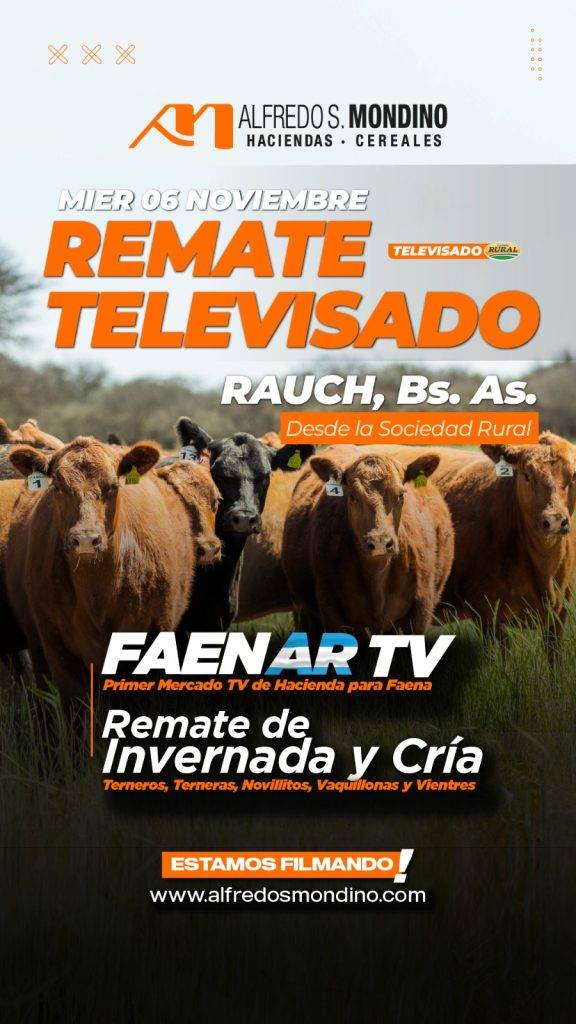 Remate Rauch-Buenos Aires