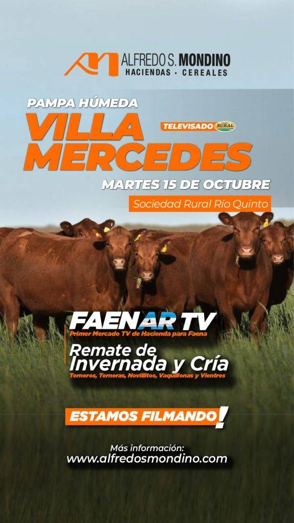 Remate Villa Mercedes