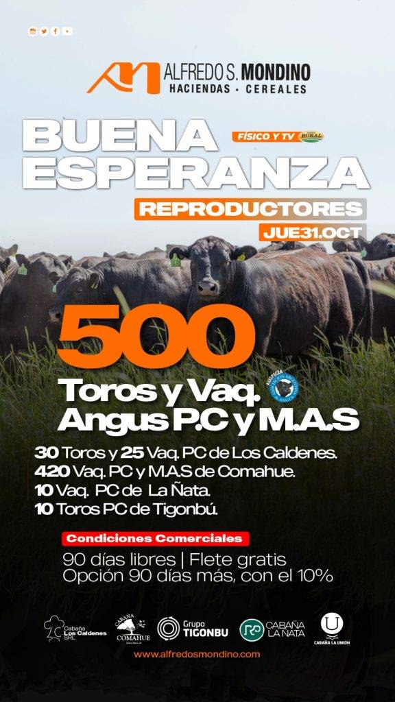 Buena Esperanza- Reproductores