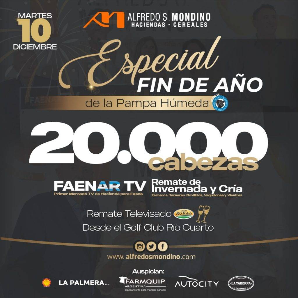 Especial Fin de Año
