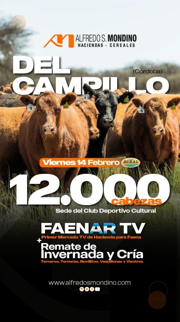 Remate Televisado Del Campillo- Cba