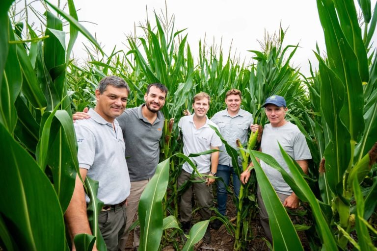 RECORRIDA A CAMPO | MAIZ BASF 7349