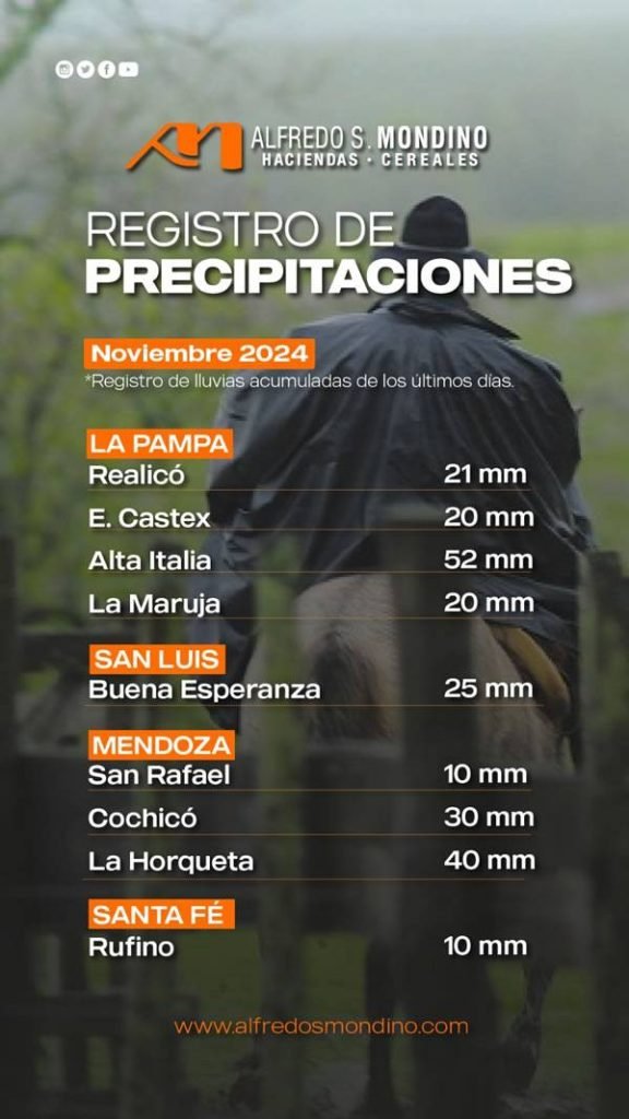Precipitaciones noviembre 2024