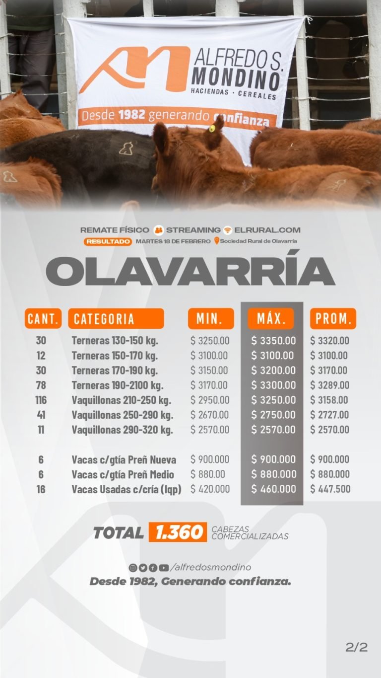 Resultados Hembras Olavarría