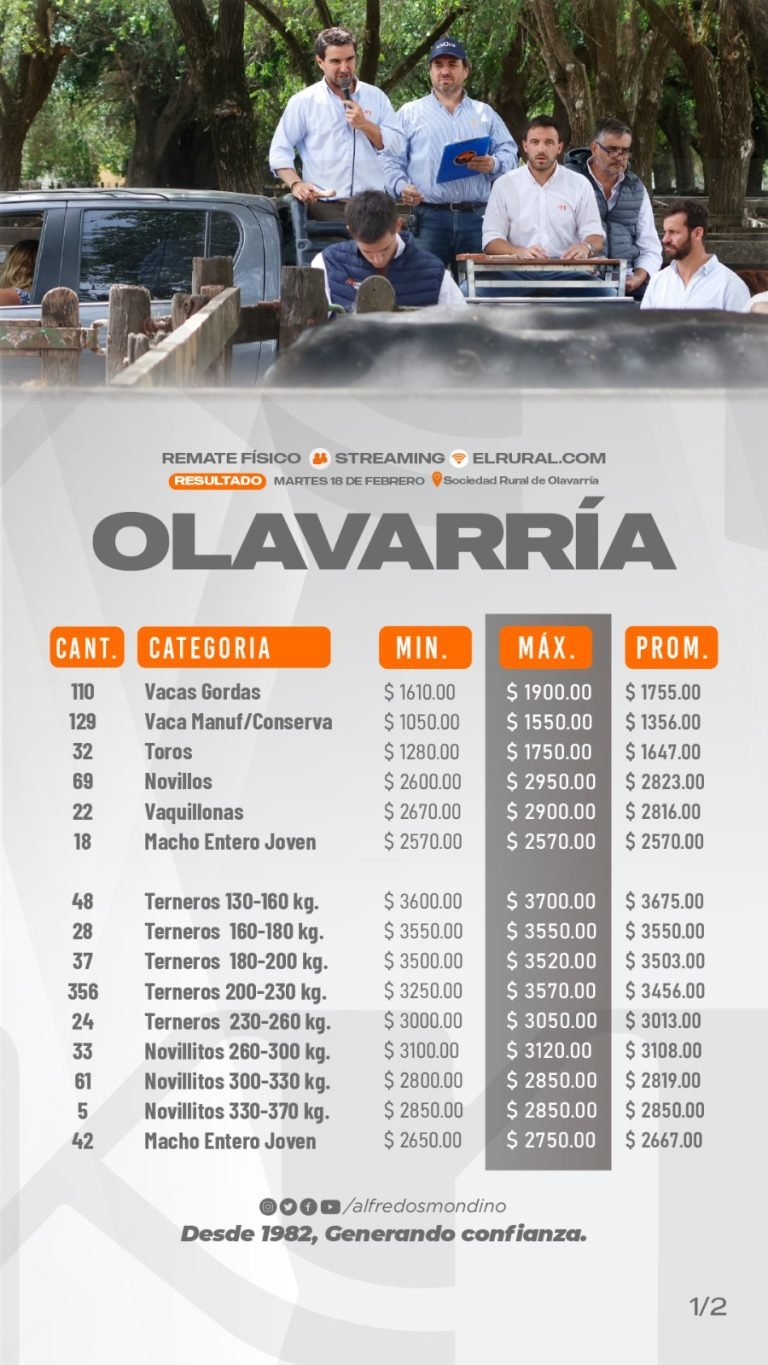 Resultados Machos Olavarría