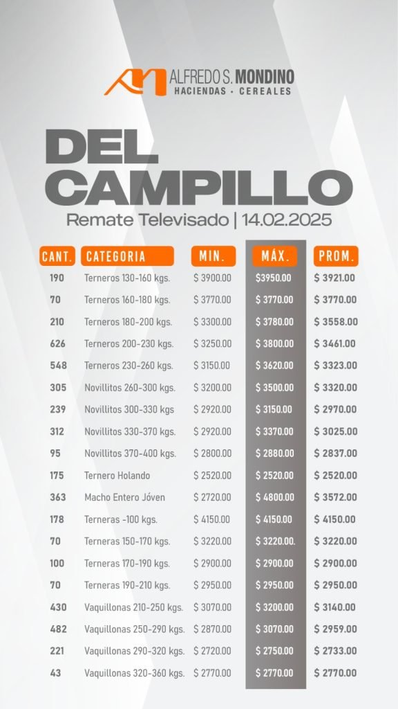 Resultados Del Campillo