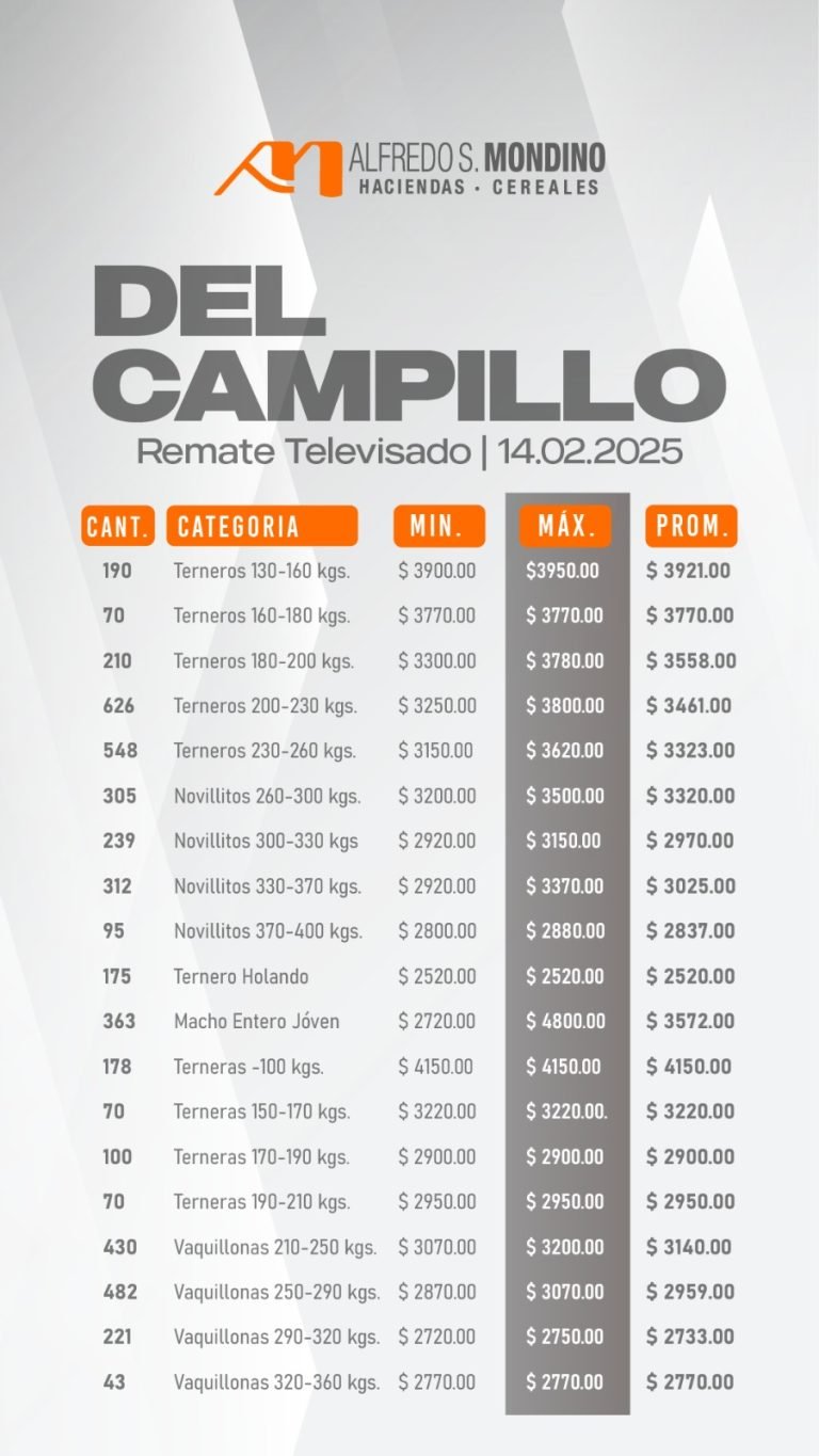 Resultados Del Campillo