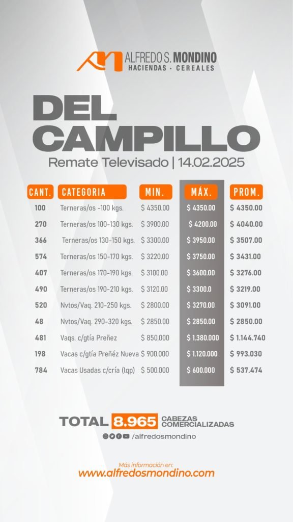 Resultado Del Campillo