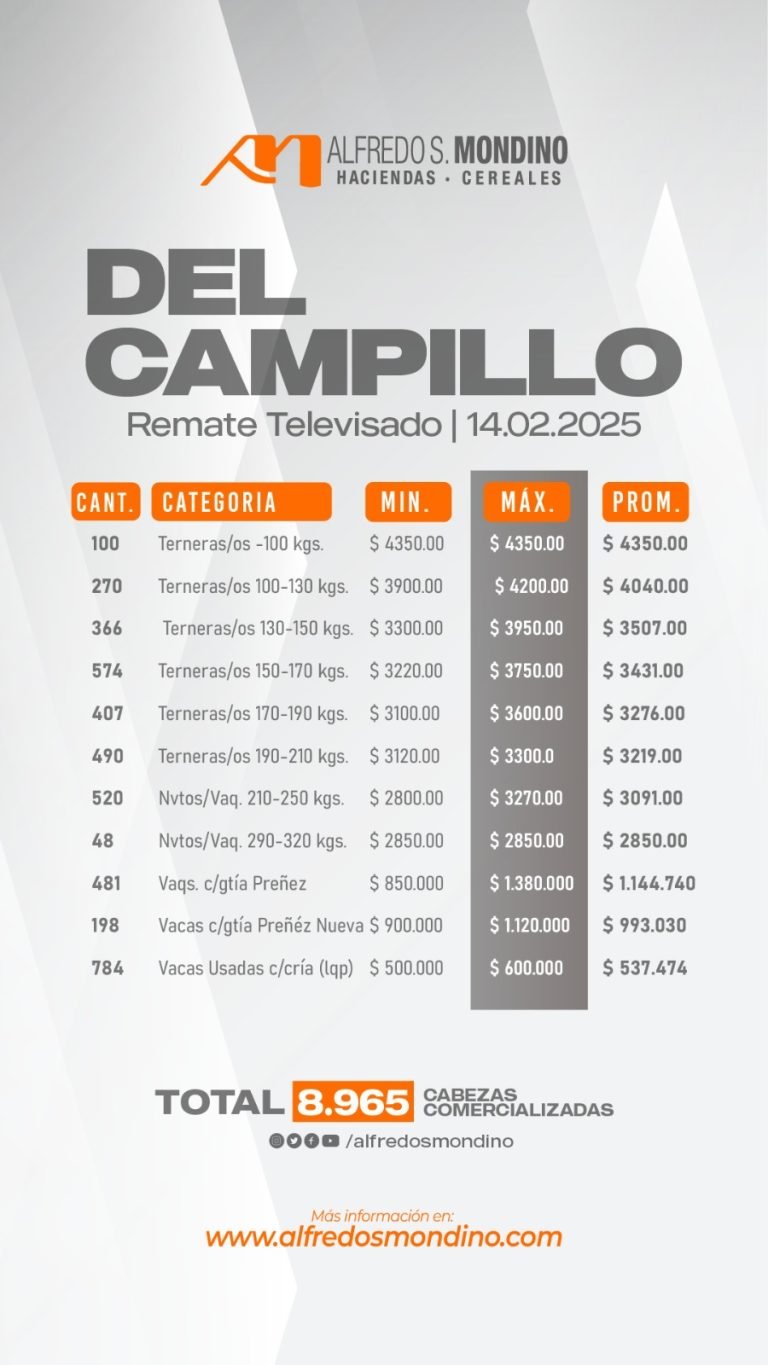 Resultado Del Campillo