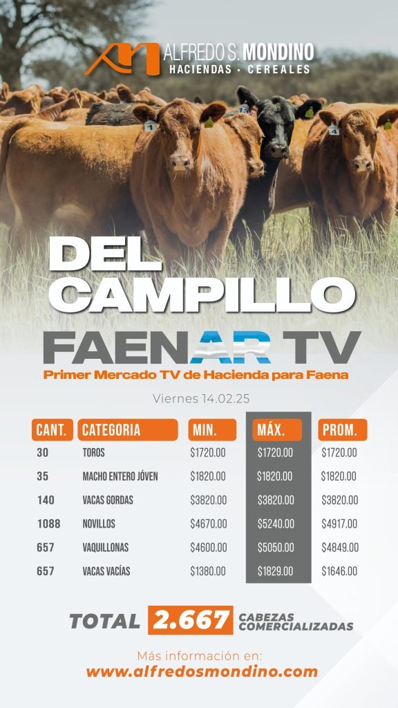 Resultados Del Campillo