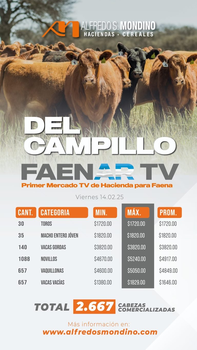 Resultados Del Campillo