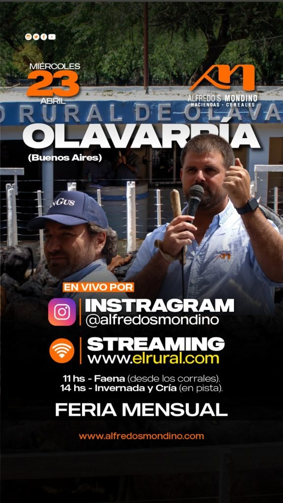 Remate Olavarría