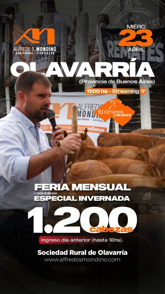 Remate Olavarría