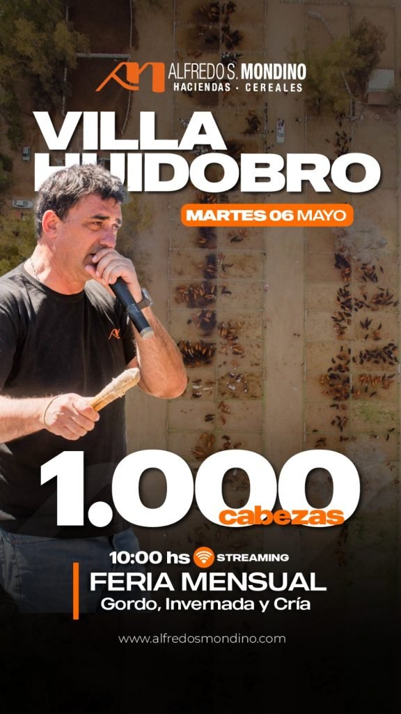 Remate Villa Huidobro