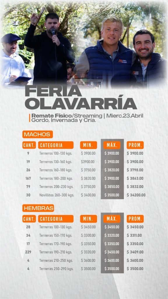 Resultado Machos/ Hembras Olavarría