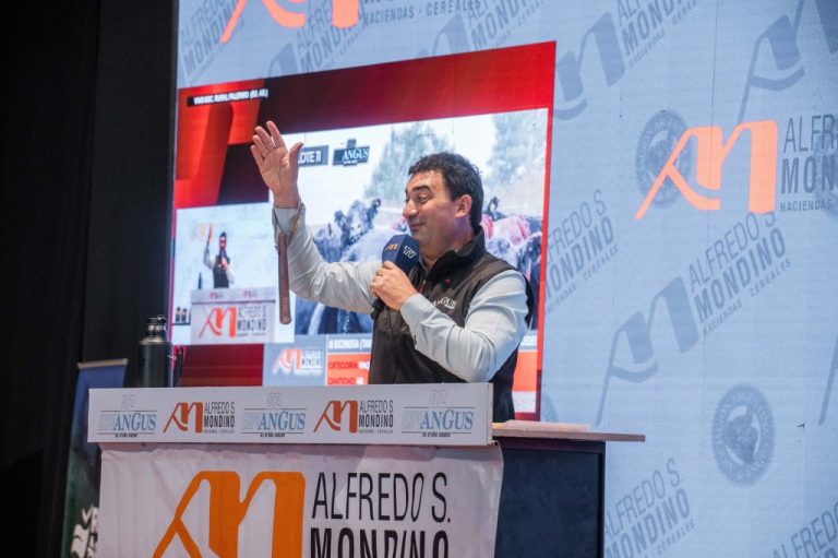 Fotos «Especial Remate – Expo Angus Sociedad Rural de Palermo» – 22.05.25