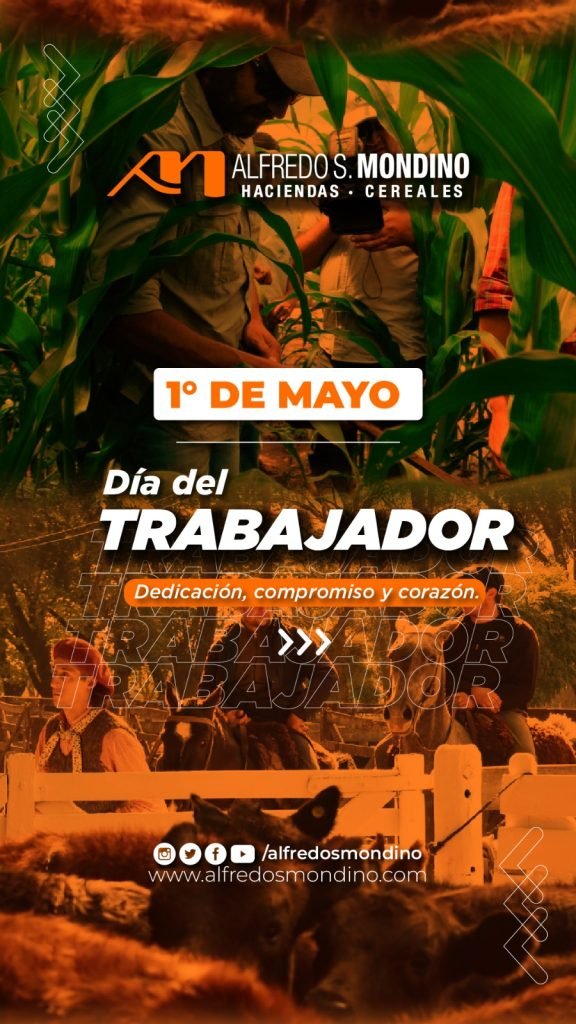 ¡FELÍZ DÍA! 💪