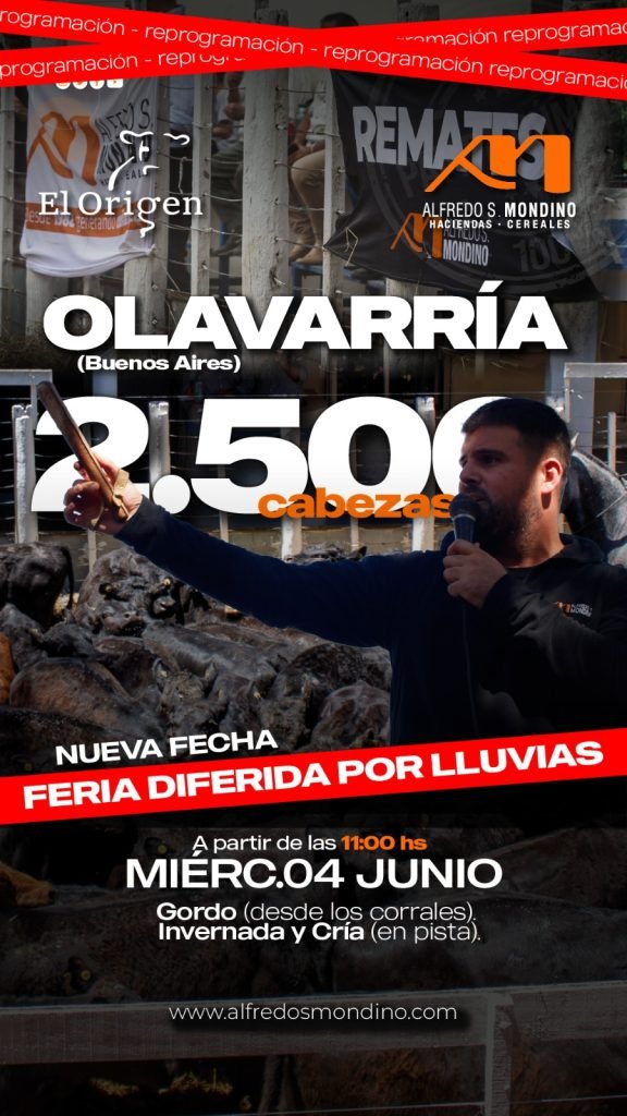 Remate Olavarría