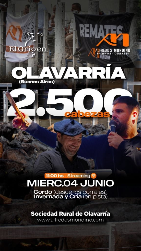Remate Olavarría