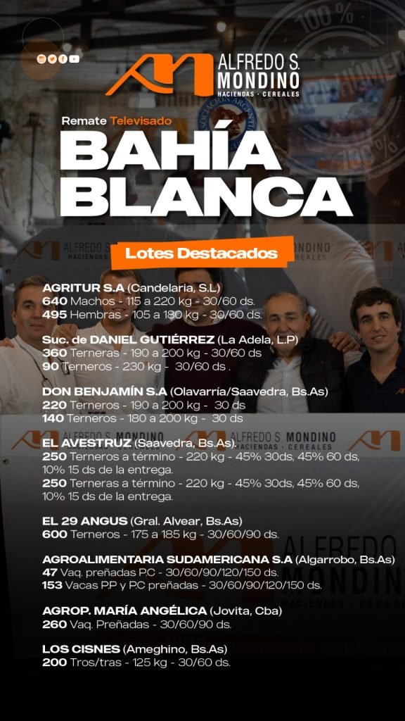 Remate Bahía Blanca