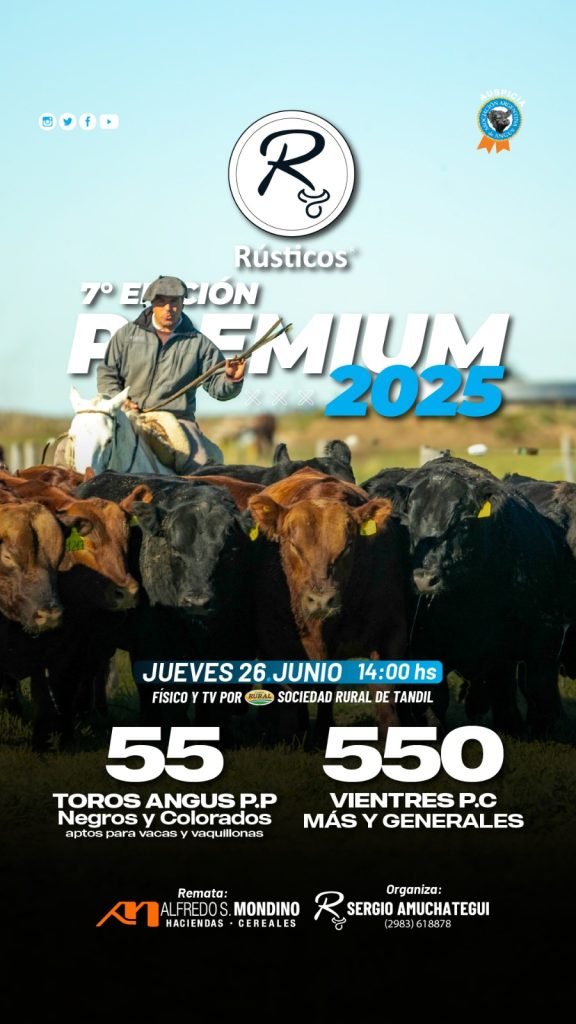 Rústicos-Premium 2025